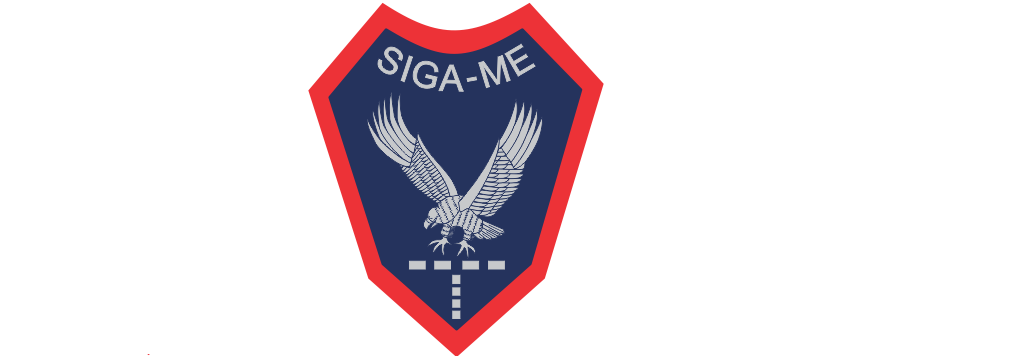Distintivo Metálico GRUPO "E" EXÉRCITO