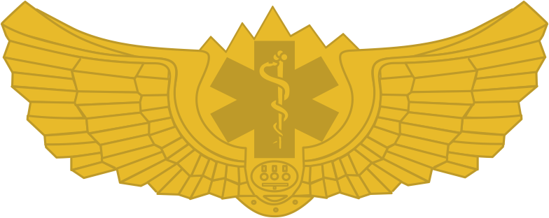 Distintivo metálico Curso de Combate a Incêndio, Resgate e Prevenção de Acidentes de Aviação