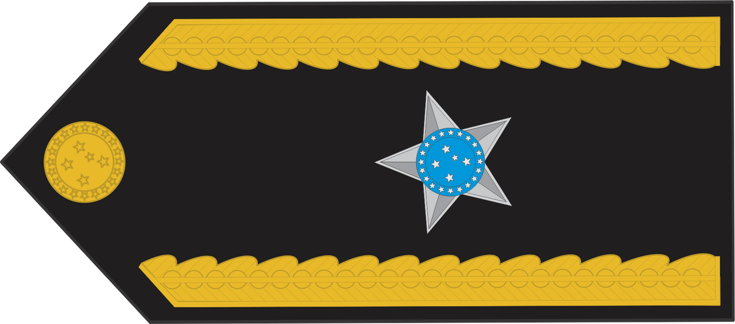 Platina de GALA ( ombreira ) Exército Brasileiro (par)