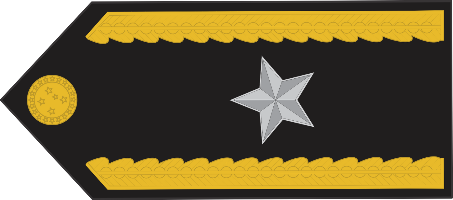 Platina de GALA ( ombreira ) Exército Brasileiro (par)