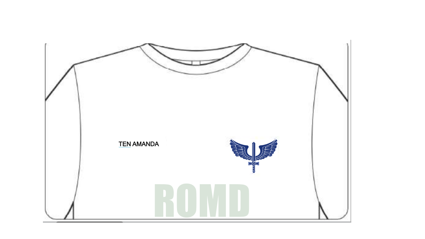 Uniforme FAB: Camisa de manga curta branca com gládio e nome