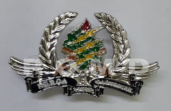 Distintivo brevê metalico Força Nacional Praça MJSP
