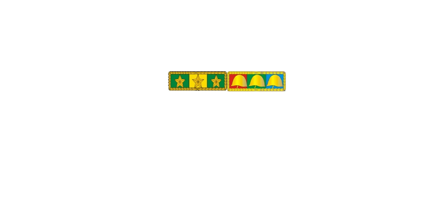 Placa com 2 barretas de medalhas militar - fixação por SUPER-IMÃ