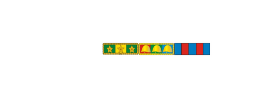Placa com 3 barretas de medalha militar - fixacao por IMÃ