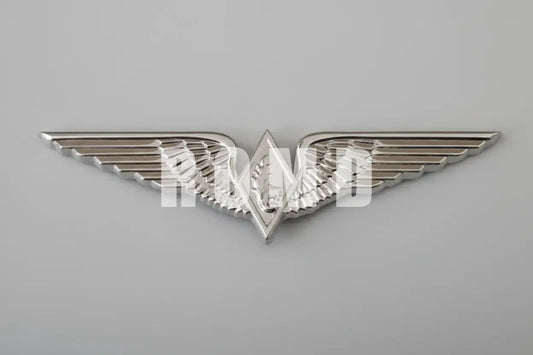 Distintivo Metálico de INTENDÊNCIA da Aeronautica FAB - 3D ALTO-RELEVO
