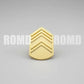 Distintivo Metálico de GOLA (posto graduação) EXÉRCITO - 3D ALTO-RELEVO (unidade)